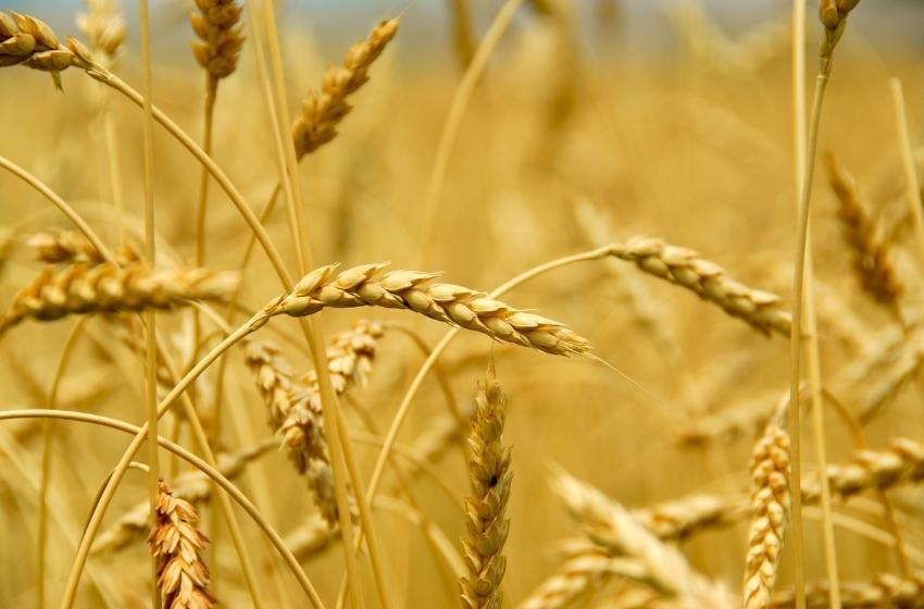 Britain will provide Ukraine with 120 containers for the transport of grain