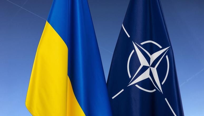 Oleg Zhdanov: why Ukraine does not want to be accepted into NATO