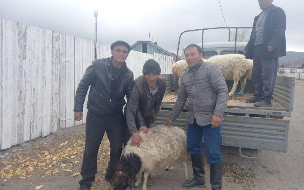 Families of those mobilized in Tuva are given a live ram in exchange for a recruit
