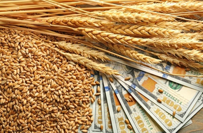 Mykola Solsky: Blocking the "grain corridor" will provoke an increase in grain prices in the world