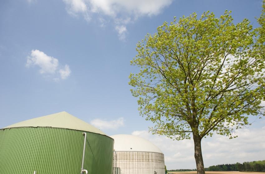 Bioenergy development in Ukraine: barriers and prospects
