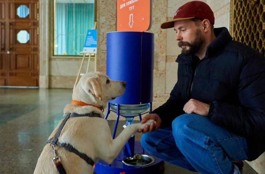 Pet-friendly stations: 11 Ukrainian stations received convenient water dispenser for animals