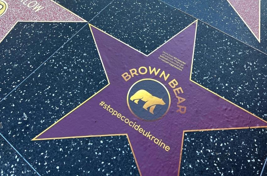 Stars dedicated to Ukrainian animals on the verge of extinction appeared on the Hollywood Walk of Fame