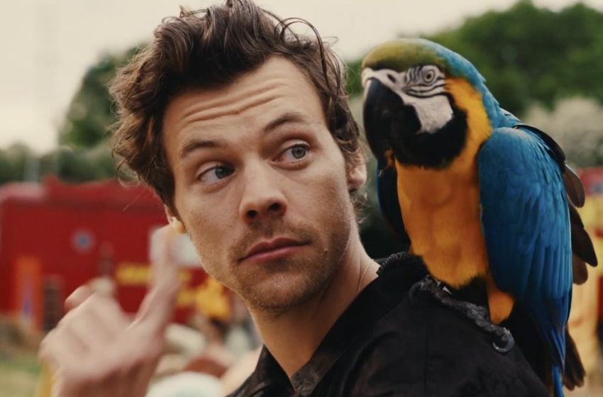 Tanu Muino directed the music video for Harry Styles' song "Daylight"