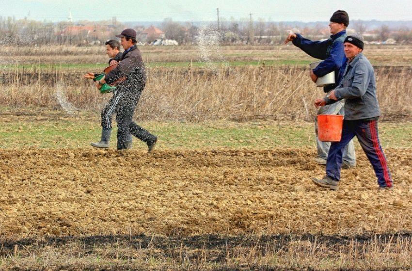 FAO and EBRD plan to finance Ukrainian agricultural firms