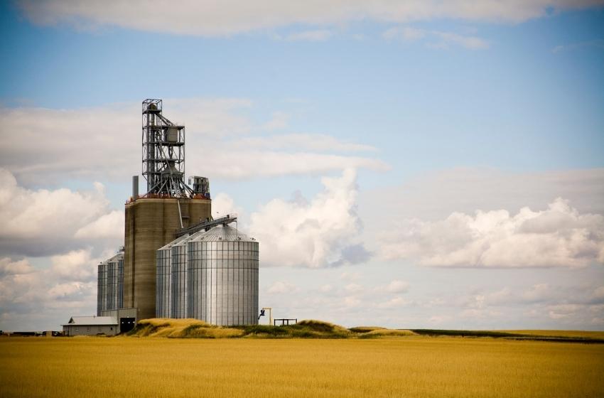 TOP-3 grain elevator regions of Ukraine