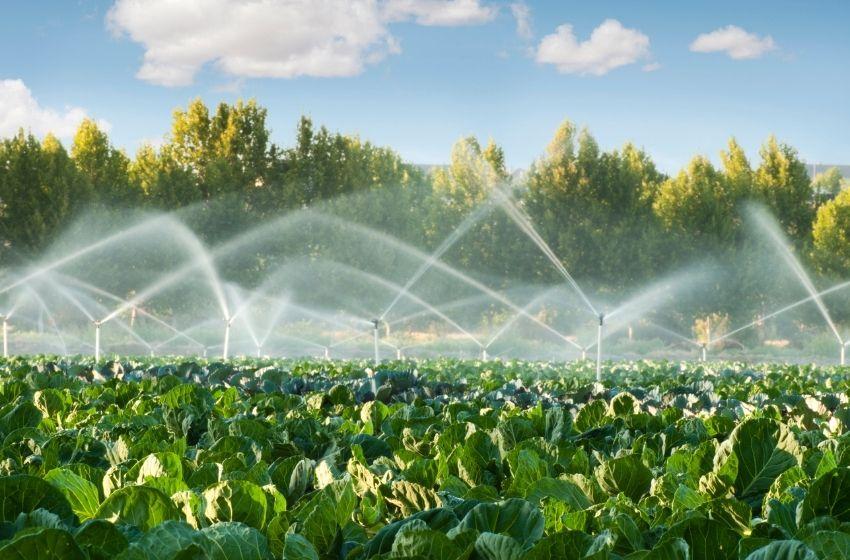 Pilot projects on irrigation of lands in Odessa region by the government of Ukraine