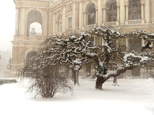 Facts about snowy Odessa