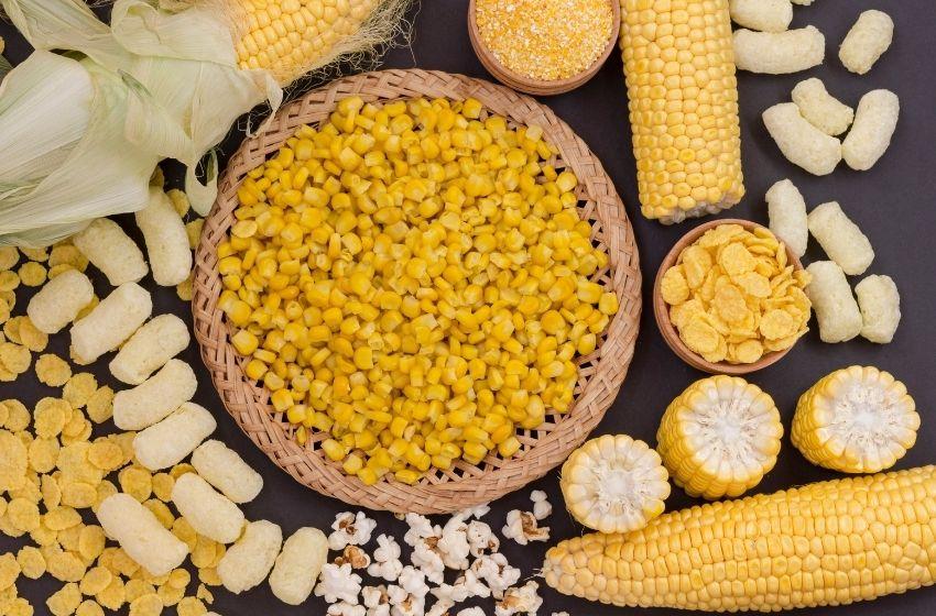The US group Remington Seeds launched a corn seed production plant in Ukraine