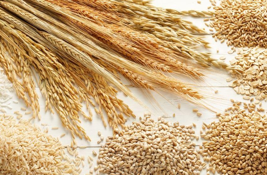 Ukraine going to export over 60 mln/tonnes of grain