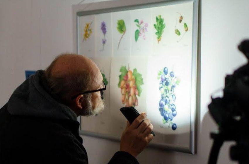 Exhibition of botanical watercolours opened in the Odessa Museum Bleshunov