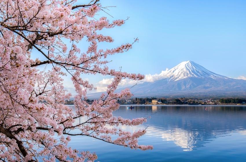 Trade with Ukraine: discover opportunities for Japanese importers