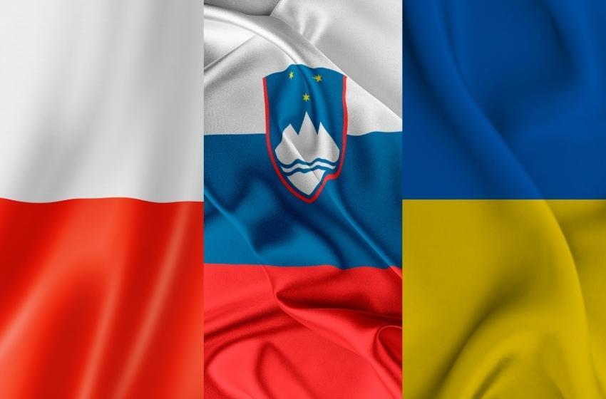 About digital projects with Poland and Slovenia