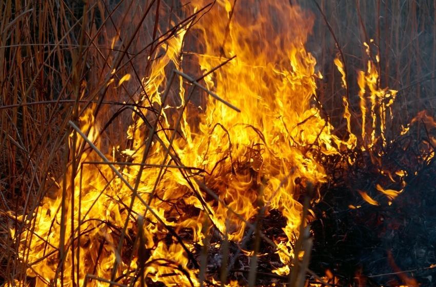 An emergency fire danger of the highest class has been declared in the Odessa region
