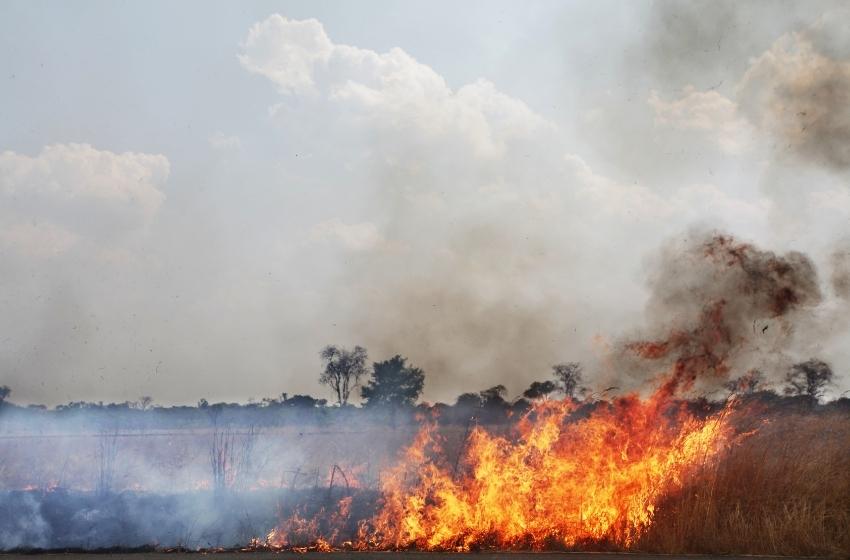 More than 230 hectares of wheat burned down in the Mykolaiv region due to shelling