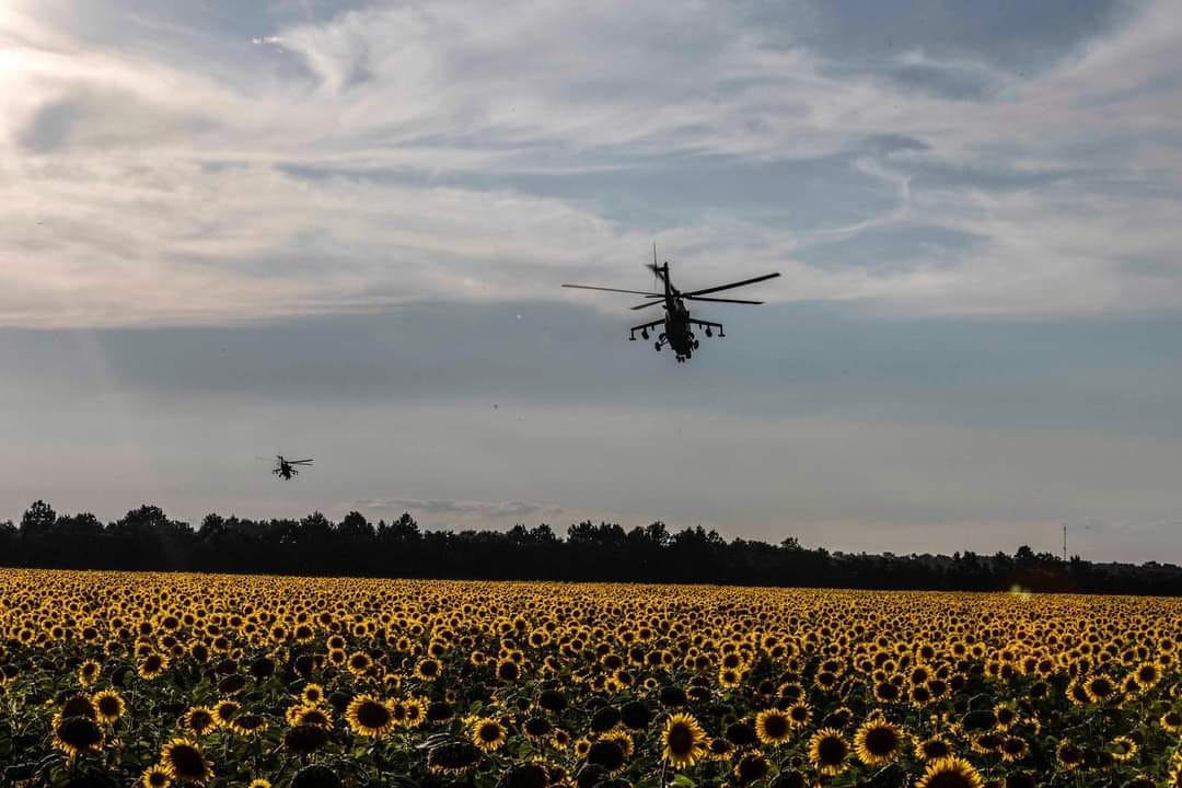 Total combat losses of the enemy from 24.02.2022 to 18.08.2023