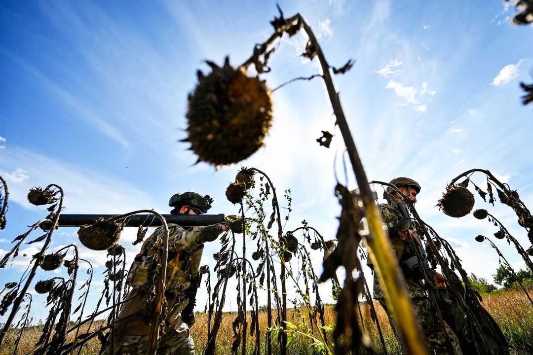 Total combat losses of the enemy from 24.02.2022 to 31.08.2023