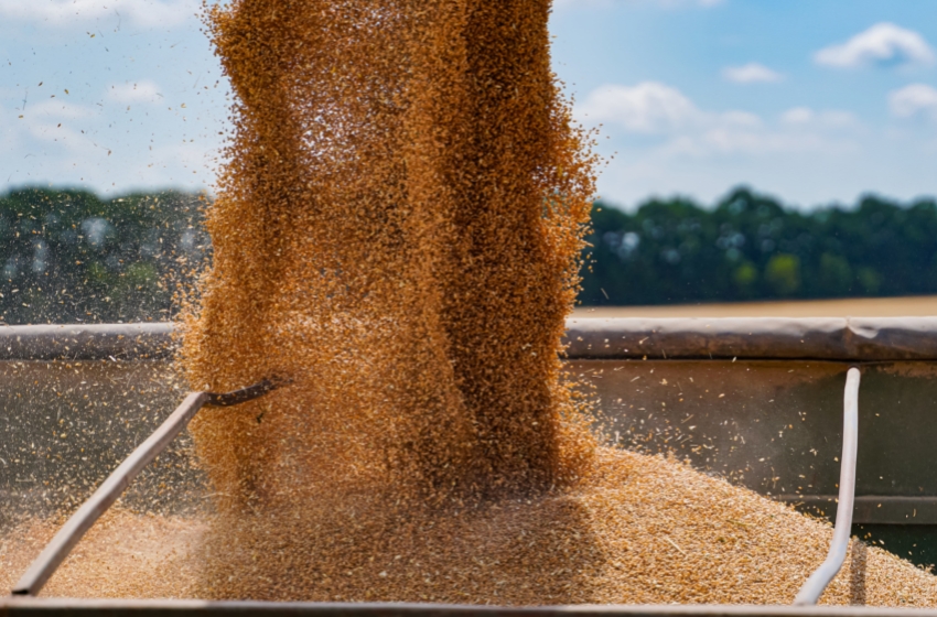 The losses of Ukrainian farmers due to the war have exceeded 40 billion dollars