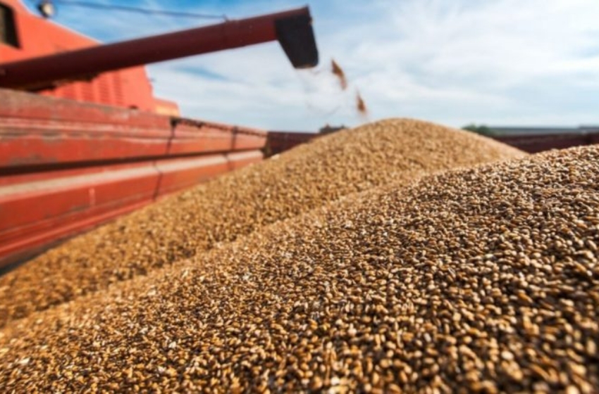 Turkey will engage in the processing of Russian grain