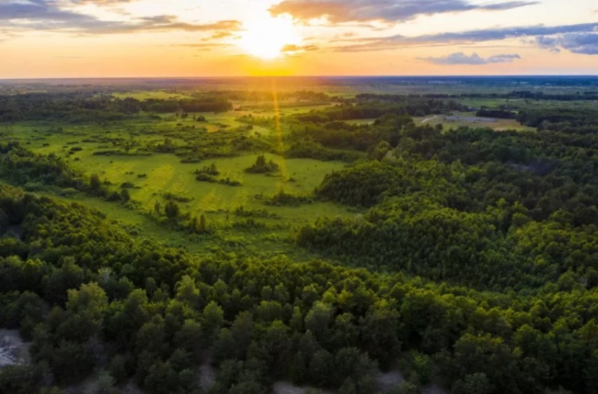 Five reserves and national parks in the Polissia region have received new equipment from the Global Environmental Fund and UNDP