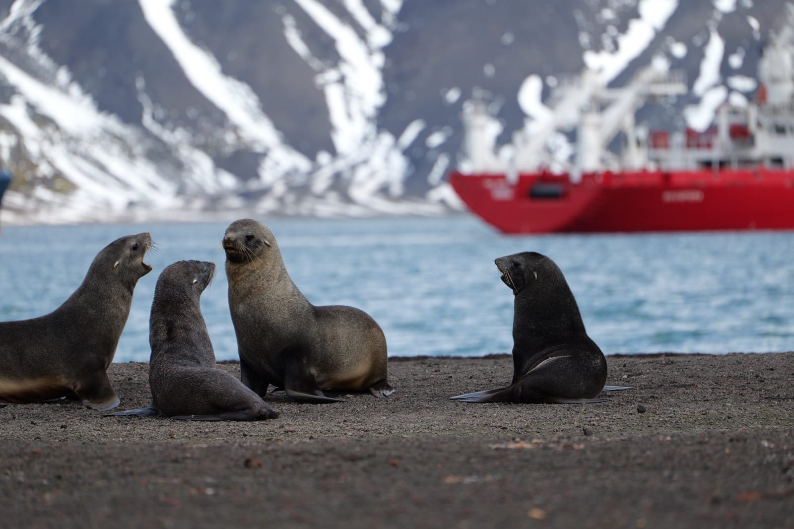 The Ukrainian research vessel 'NooSphere' has concluded its Antarctic season and has docked at the port of Cape Town