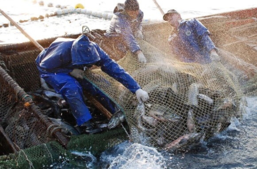 The Netherlands have stopped allowing Russian fishing vessels into their ports