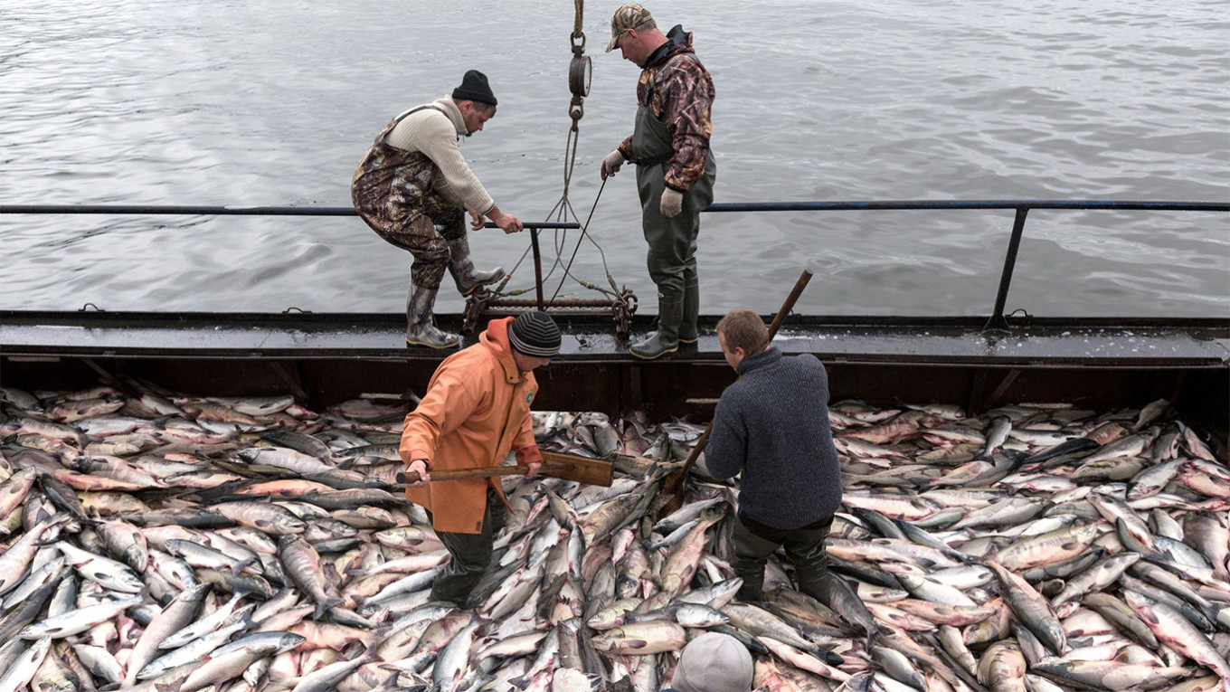 The EU may ban the import of fresh fish from Russia as part of new sanctions