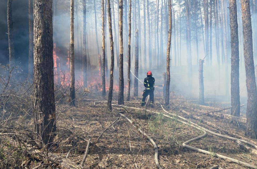 About 80% of the forest in the Holy Mountains National Nature Park in Donetsk has burned due to the war with Russia