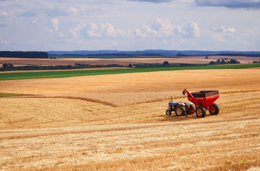 UkraineInvest has conducted a study on new investment opportunities in Ukraine's agribusiness sector