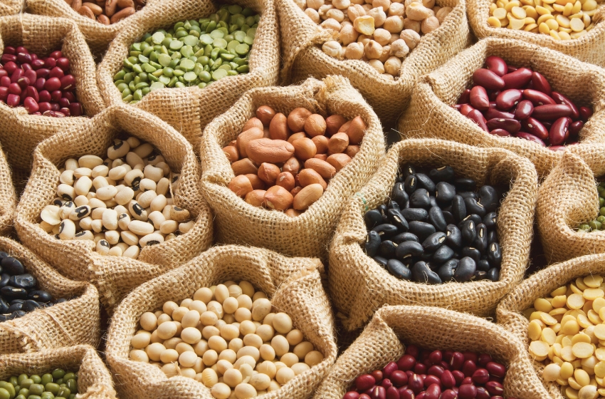 A Legume-Soy Association has been established in Ukraine