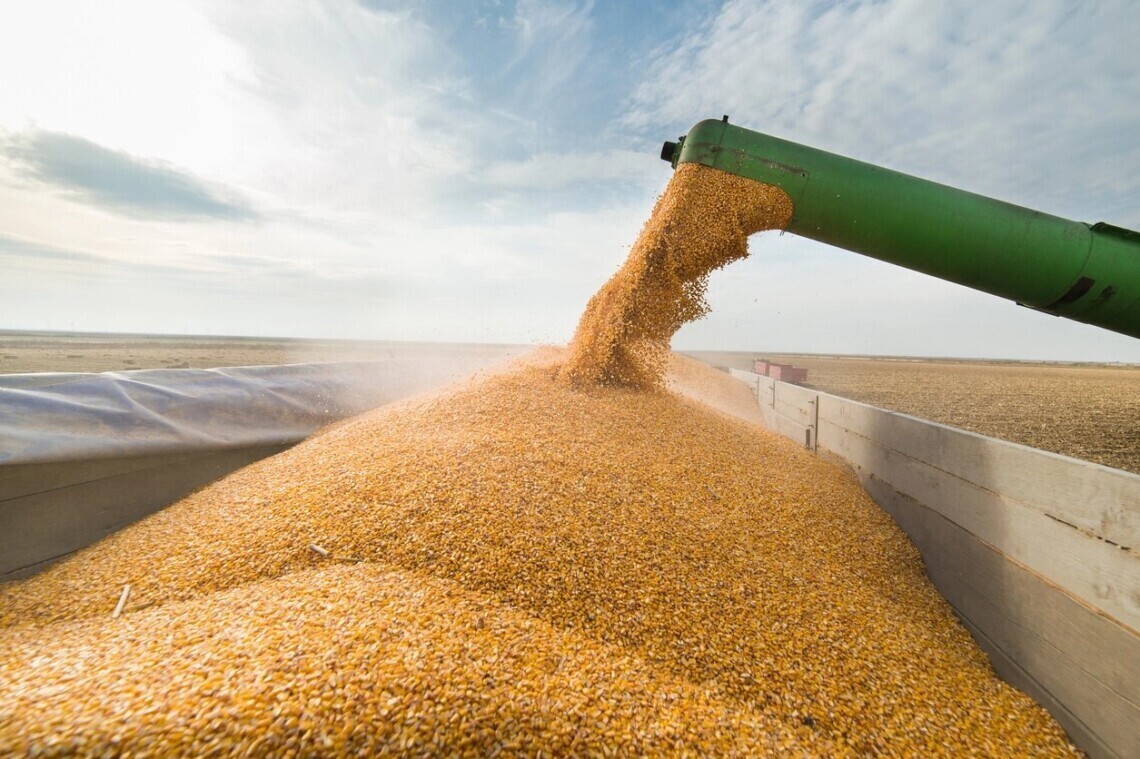 Ukraine's grain exports have exceeded 28 million tons