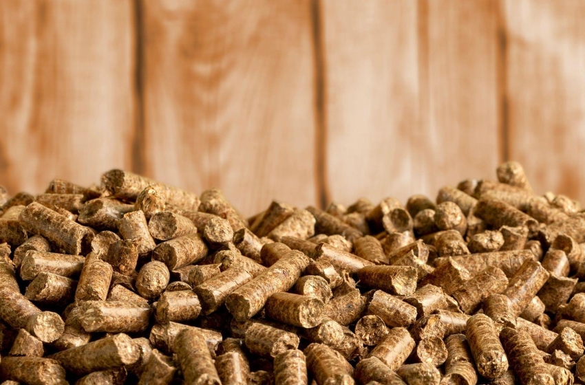Ukraine’s largest straw pellet production facility put up for sale in Vinnytsia region
