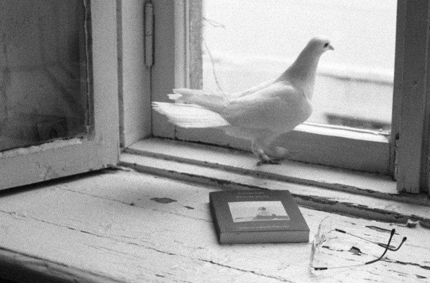 Centers of Gravity: Anna Holubovska’s lens on courage and culture in wartime