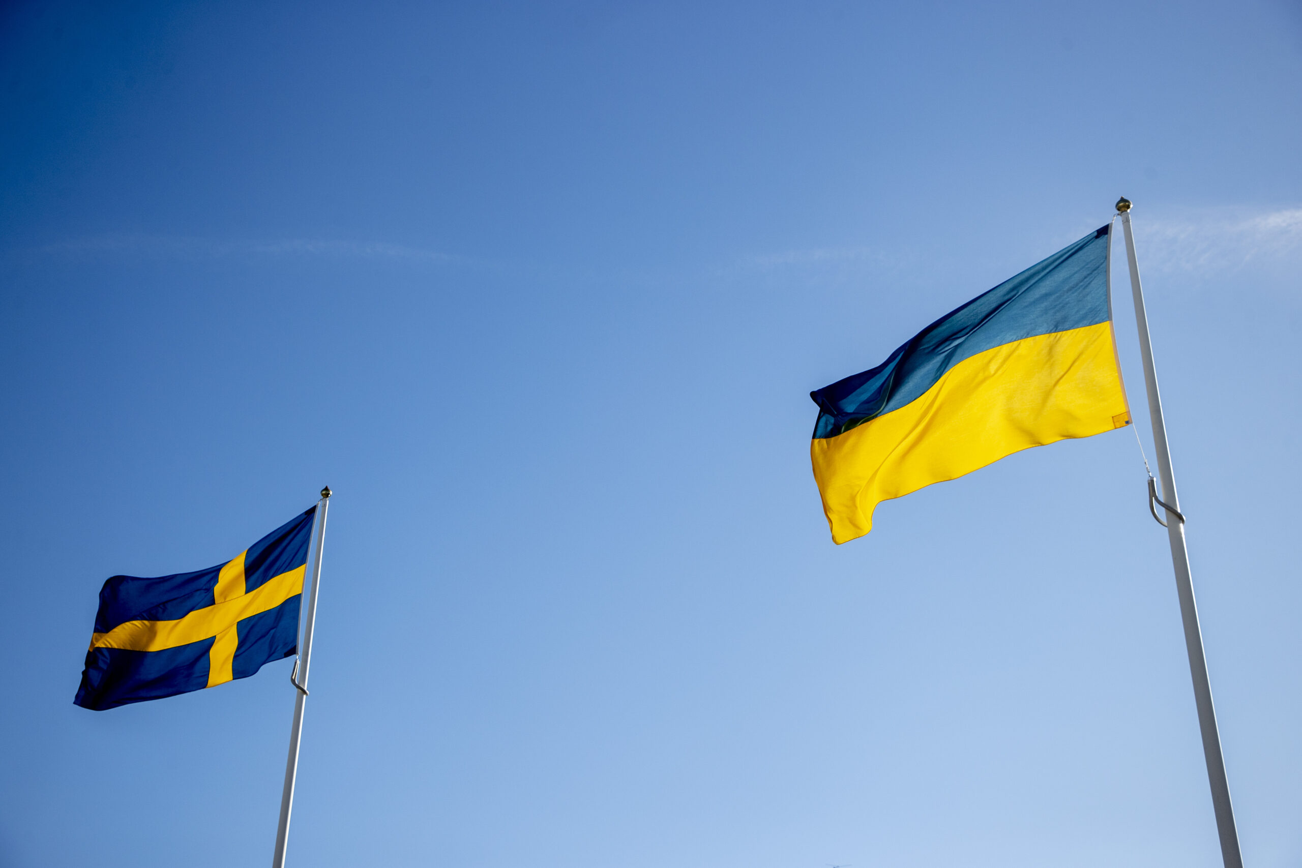 Ukraine and Sweden discussed the details of military aid and cooperation in the defense industry sector
