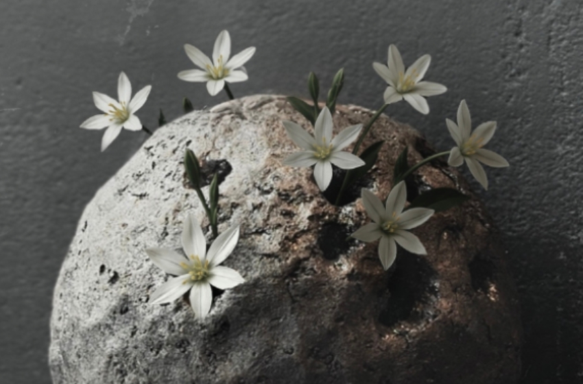 Life-saving objects: LITKOVSKA and Gorn Ceramics launch a charity collection in support of Azov