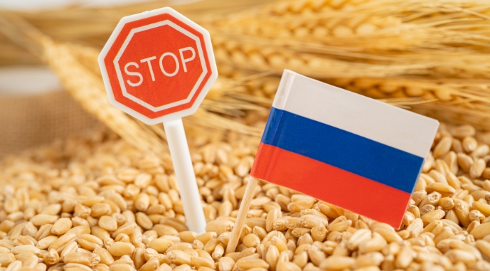 Foreign Intelligence Service: The Kremlin strangles the agricultural market with manual control