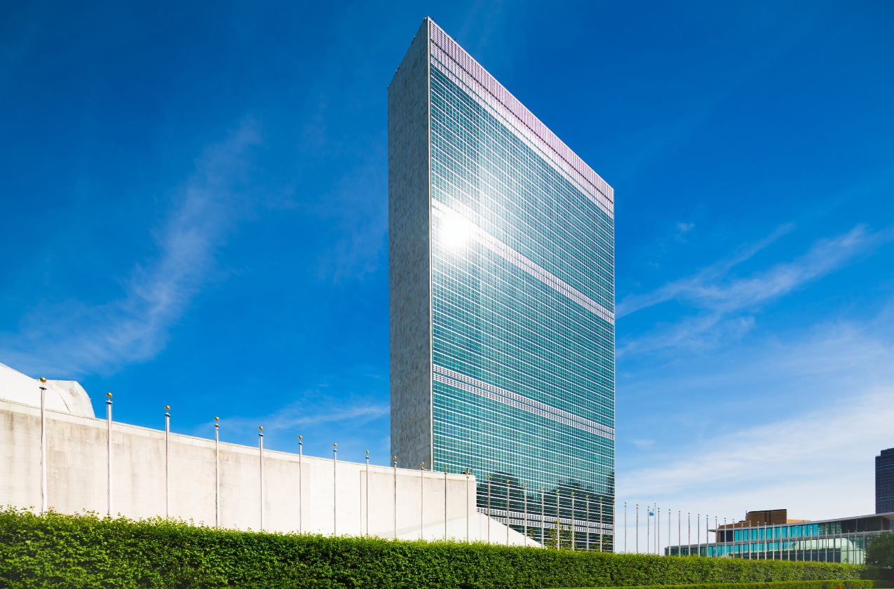 UN: Ukraine’s landmine contamination is a global problem affecting security and world prices