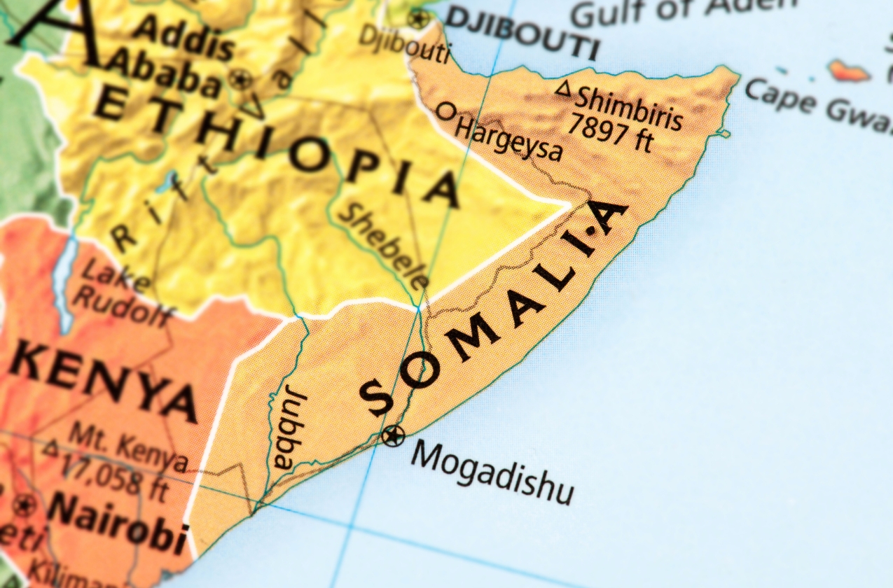 RLI: Russia is strengthening ties with Somalia in the struggle for influence in the Red Sea