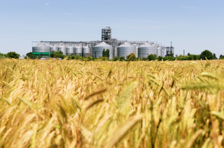 Construction of grain elevators in Ukraine is growing despite the war