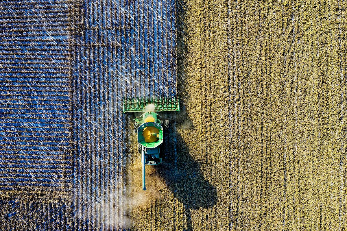 The volume of capital investment in Ukraine's agricultural sector is the lowest compared to the EU
