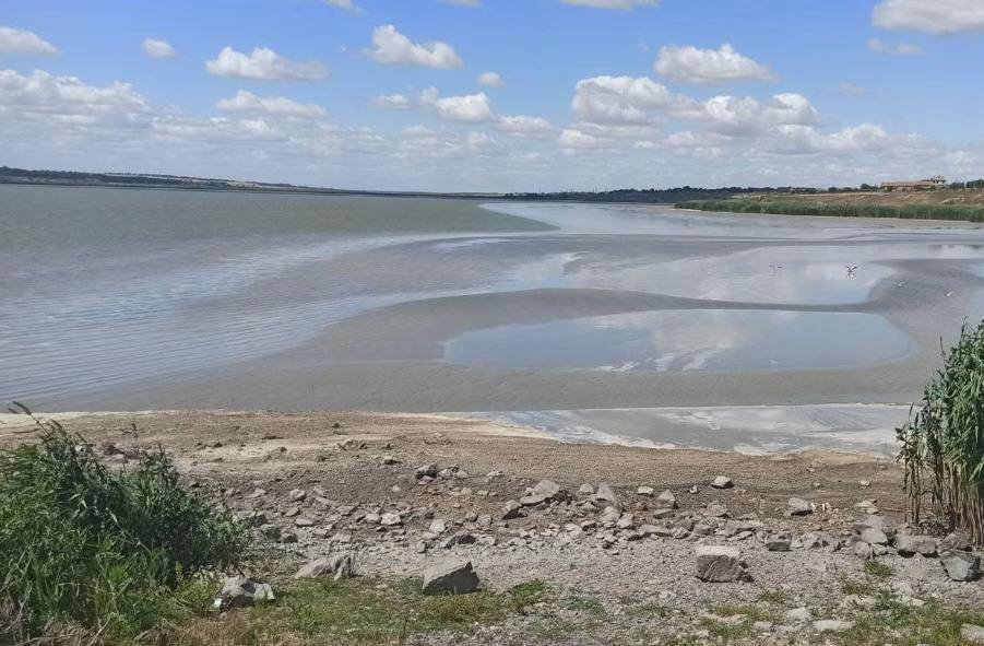 In the Odessa region, a lake that provides irrigation for 8,500 hectares of crops is drying up