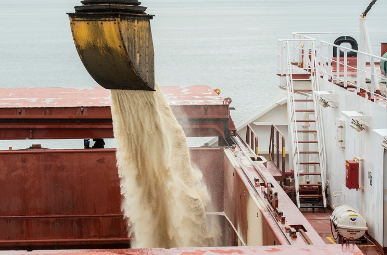 Egypt to maintain its position among top buyers of Ukrainian wheat