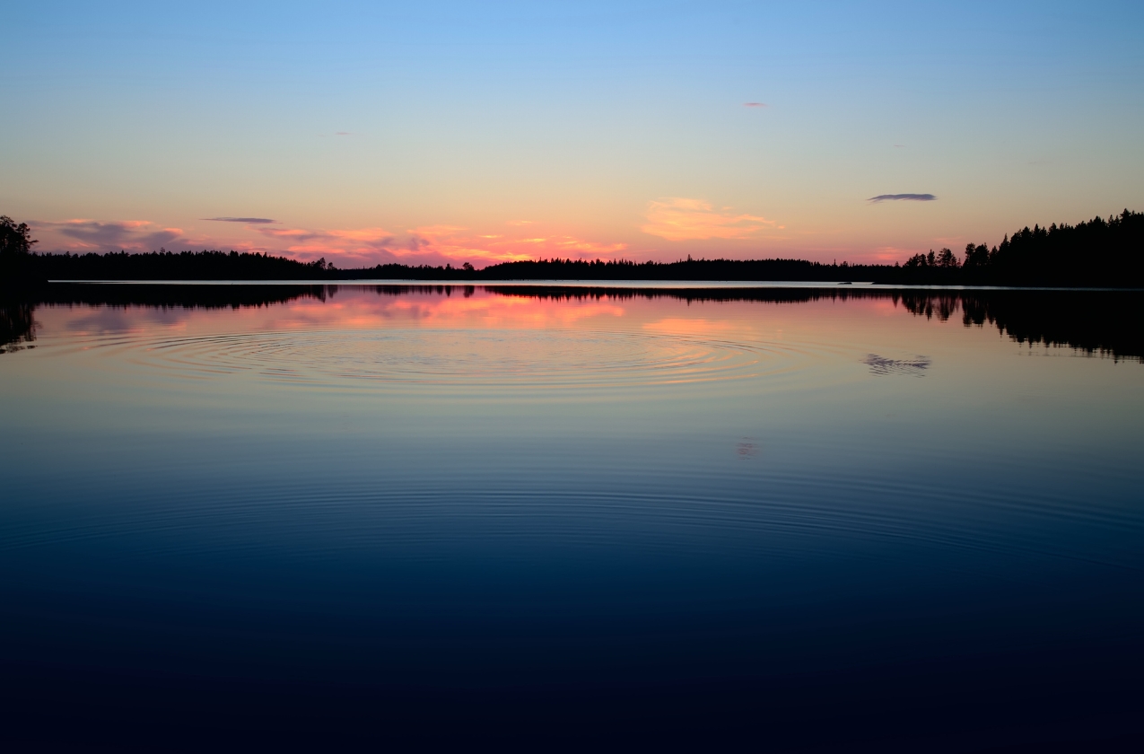 Finnish company supplied Russian military industry with electronics under the guise of tourism