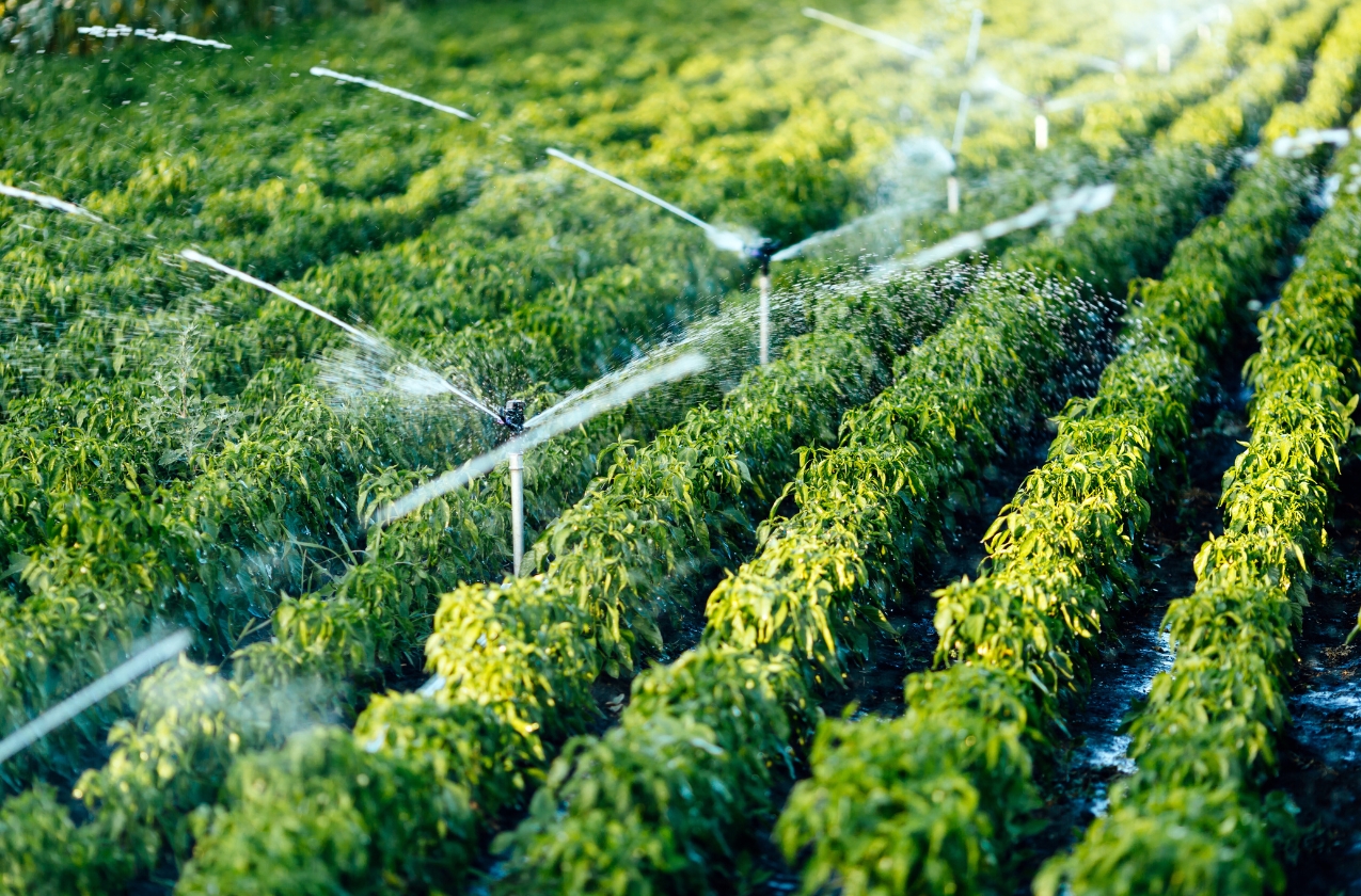 18 irrigation system modernization projects are being implemented in Ukraine