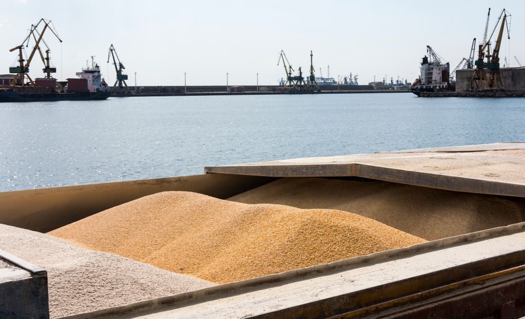 Romania has extended the licensing requirement for Ukrainian agricultural products until the end of the year