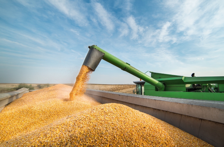 Ukrainian farmers harvest over 2.5 million tonnes of new grain and legume crops