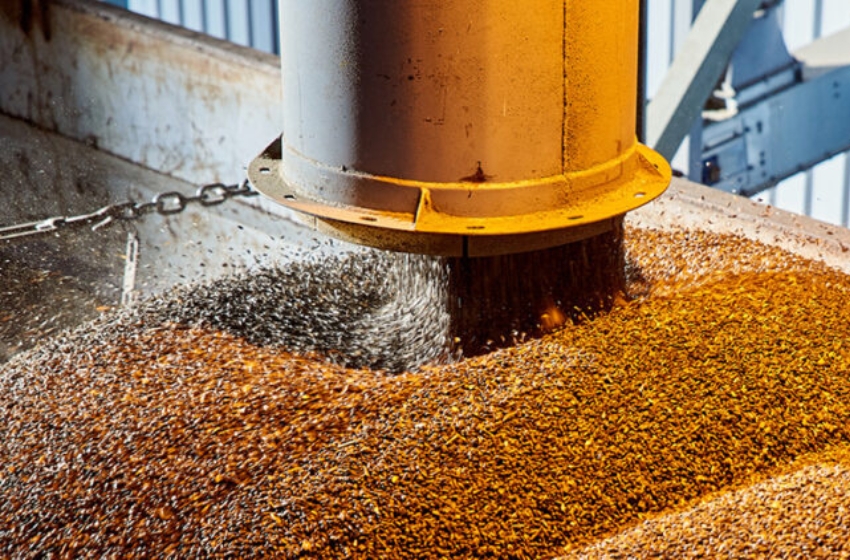 Ukraine is increasing its oilseed processing capacity to 25 million tonnes, but lacks sufficient raw materials