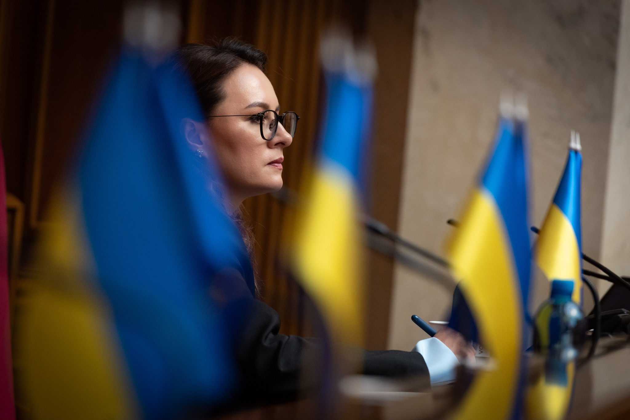 Ukraine is preparing a one-year moratorium on business inspections