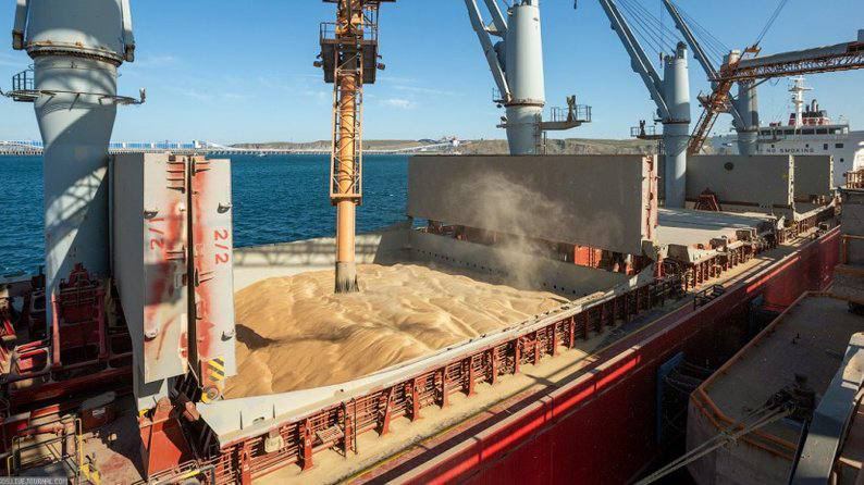 Ukraine and Egypt have agreed on steps to increase trade in agricultural products