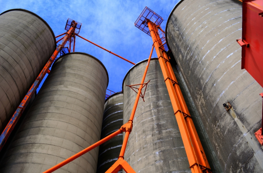 Epicentr Agro to build 5 million ton grain terminal at Pivdennyi port